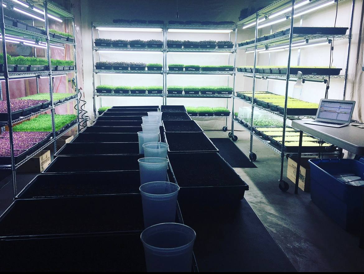 micro acres basement farm