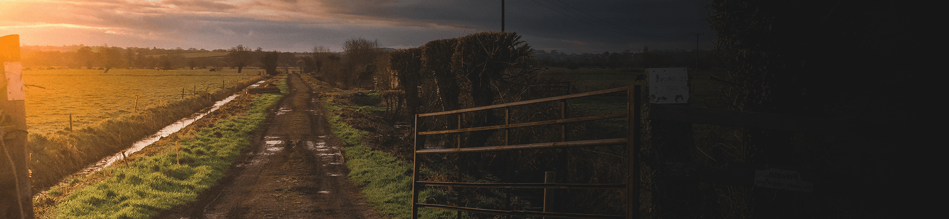 Mini-Farm Masterclass