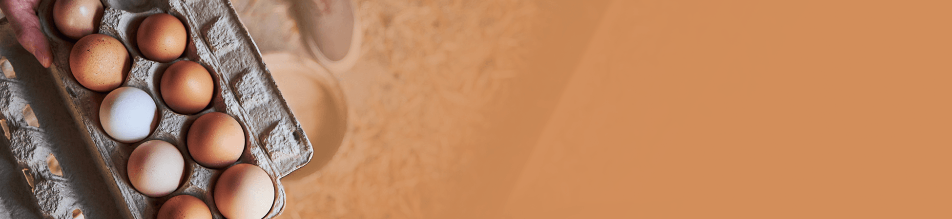 Start Your Profitable Mini Farm