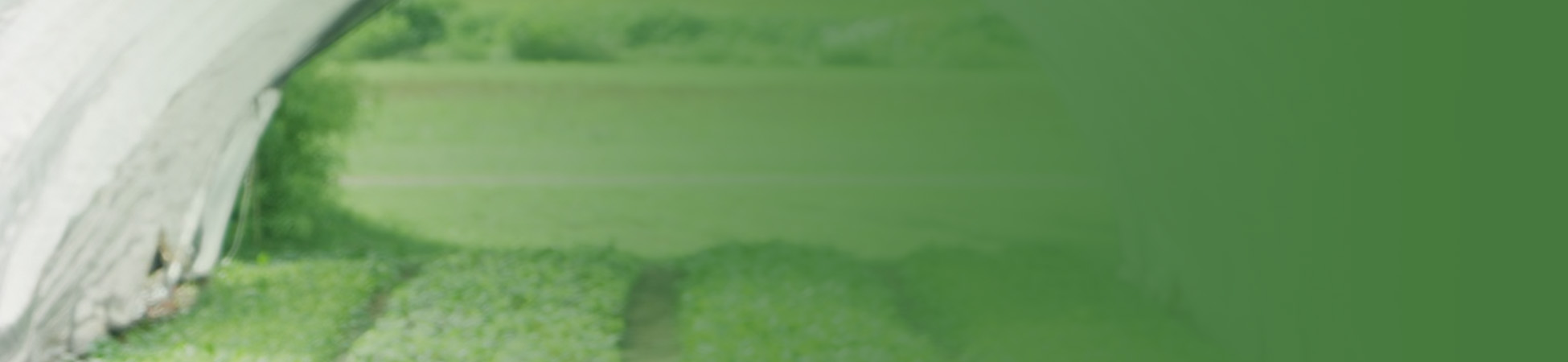 Build A Profitable High Tunnel Farm