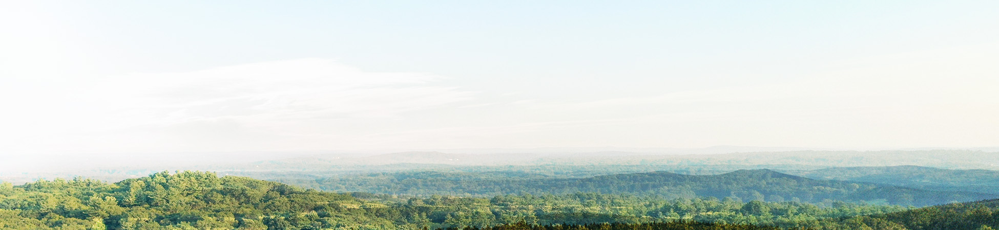 Finding The Perfect Homestead Property