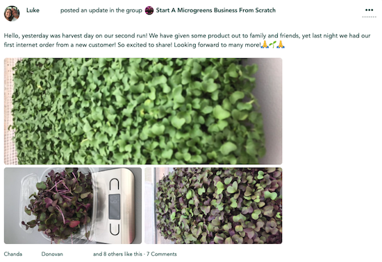 freedom farmers microgreens review