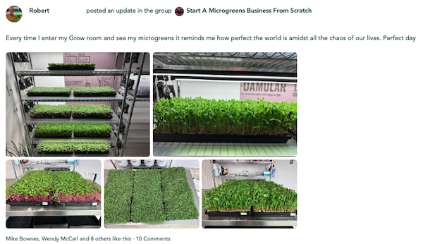 freedom farmers microgreens review