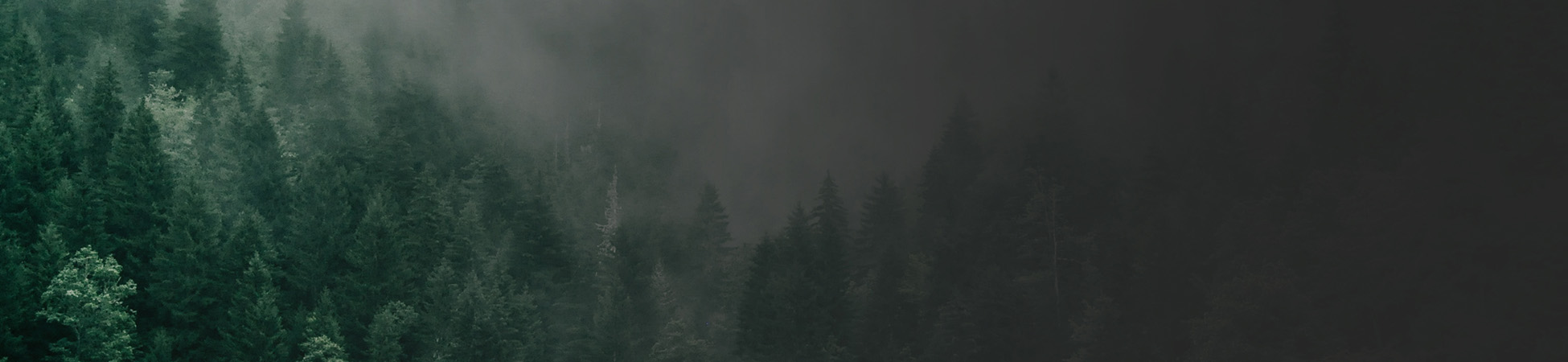 Building A Mountain Homestead