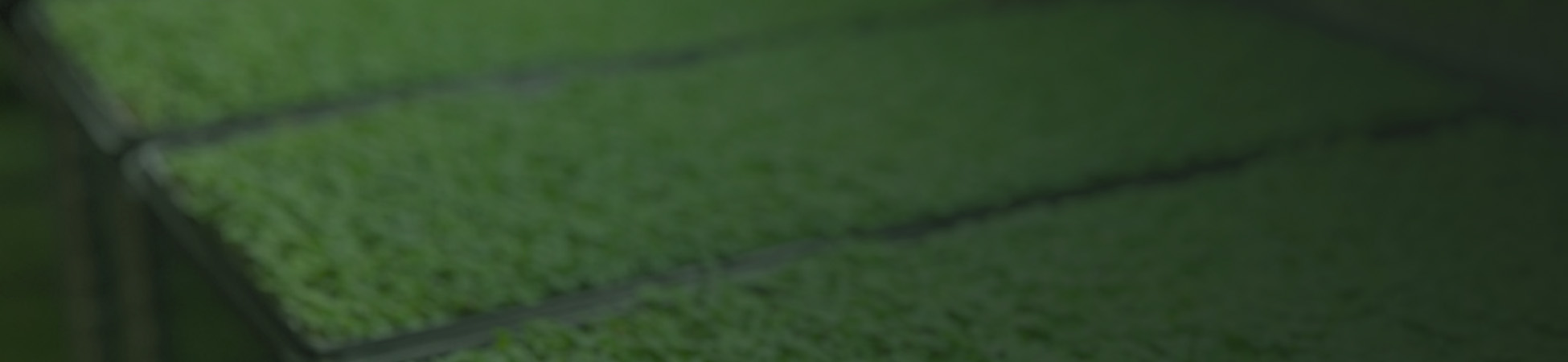 Microgreens Video Vault