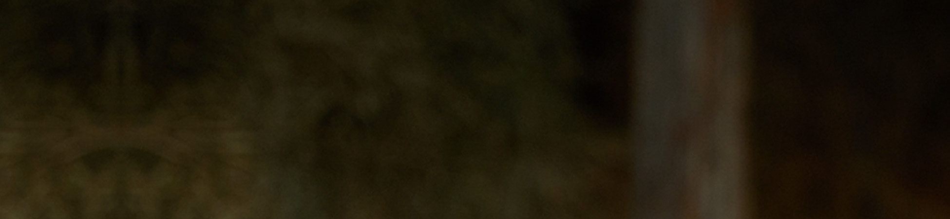 Permaculture Masterclass